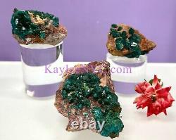 Wholesale Lot 3 PCs Natural Dioptase Raw Crystal Healing Energy