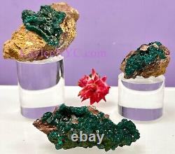 Wholesale Lot 3 PCs Natural Dioptase Raw Crystal Healing Energy