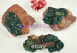 Wholesale Lot 3 PCs Natural Dioptase Raw Crystal Healing Energy