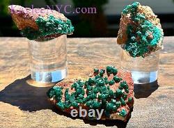 Wholesale Lot 3 PCs Natural Dioptase Raw Crystal Healing Energy