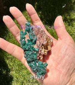 Wholesale Lot 3 PCs Natural Dioptase Raw Crystal Healing Energy