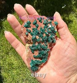 Wholesale Lot 3 PCs Natural Dioptase Raw Crystal Healing Energy