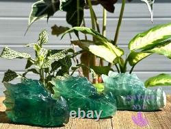 Wholesale Lot 3 Pcs Natural Fluorite Dragon Head Crystal Healing Energy