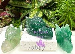 Wholesale Lot 3 Pcs Natural Fluorite Dragon Head Crystal Healing Energy