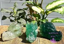Wholesale Lot 3 Pcs Natural Fluorite Dragon Head Crystal Healing Energy