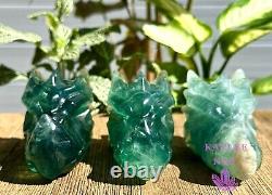 Wholesale Lot 3 Pcs Natural Fluorite Dragon Head Crystal Healing Energy