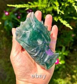 Wholesale Lot 3 Pcs Natural Fluorite Dragon Head Crystal Healing Energy
