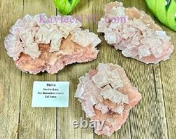Wholesale Lot 3 Pcs Natural Pink Halite Crystal Raw Healing Energy
