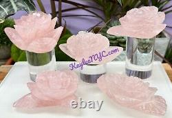 Wholesale Lot 4-5 Pcs Natural Rose Quartz Roses Crystal Healing Energy