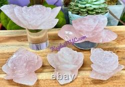Wholesale Lot 4-5 Pcs Natural Rose Quartz Roses Crystal Healing Energy