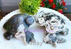 Wholesale Lot 4 PCs Natural Moss Agate Turtle Healing Energy 4.1-4.4Lbs