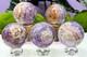 Wholesale Lot 5 Pcs Natural Amethyst Lace Agate Sphere Crystal Healing Energy
