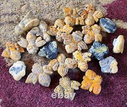 Wholesale Lot 6 LBS New Bumblebee Jasper Carvings