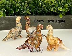 Wholesale Lot 7 PCs Natural Mix Crystal Dinosaur? Healing Energy