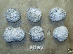 Wholesale Lot Of 6 Las Choyas Crystal Geodes Guaranteed Hollow