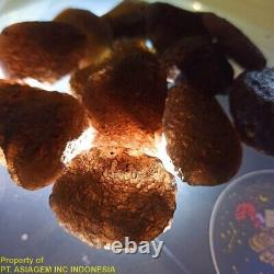 Wholesale Natural Agni Manitite (Pearl of the Divine Fire) 20-40G each lot