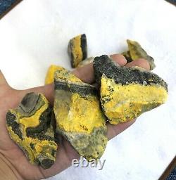 Wholesale Natural Rough Bumble Bee Jasper Stone for Cut healing and meditation