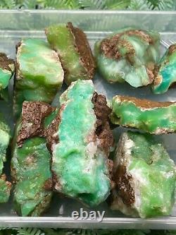 Wholesale Natural Rough Chrysoprase Stone For Collection healing and meditation