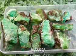 Wholesale Natural Rough Chrysoprase Stone For Collection healing and meditation