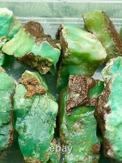 Wholesale Natural Rough Chrysoprase Stone For Collection healing and meditation