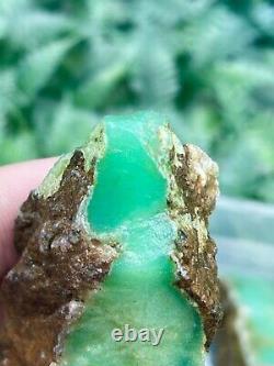 Wholesale Natural Rough Chrysoprase Stone For Collection healing and meditation