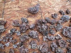 Wholesale Witches Finger Fingers Crystal Clusters & Points Tremolite 5kg Lots
