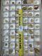 Wholesale Flat Corydon Quarry In Calcite Dolomite 54pcs Free Shipping 70