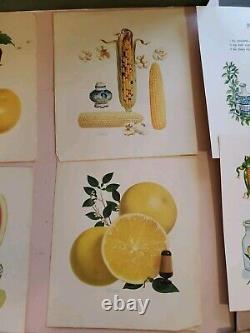 Wholesale lot 1900s Euphemia fine art prints photos labels stickers