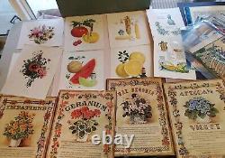 Wholesale lot 1900s Euphemia fine art prints photos labels stickers