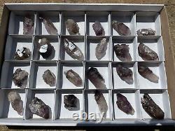 Wholesale lot Shangaan (Chibuku) Smoky Amethyst Chiredzi crystals (24) 2.19lbs