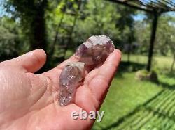 Wholesale lot Shangaan (Chibuku) Smoky Amethyst Chiredzi crystals (24) 2.19lbs