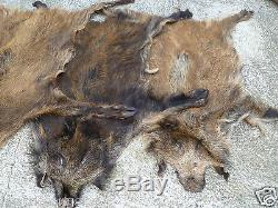 Wild european big boar skin fur rug hide collectible fireplace (set of 10 furs)