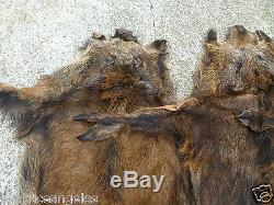 Wild european big boar skin fur rug hide collectible fireplace (set of 10 furs)