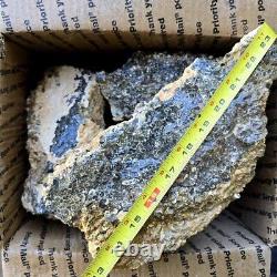 Wyoming Fossil Turritella Cutting Rough Fossil Flatrate! Bulk Wholesale