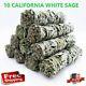 X 10 California White Sage Smudge Sticks 4 (wholesale Bulk Lot) 10 Pack