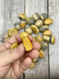 Yellow Bumblebee Jasper Tumbled Crystals Wholesale Lot Bulk Lot 2lbs Polished