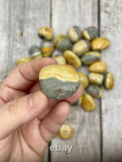 Yellow Bumblebee Jasper Tumbled Crystals Wholesale Lot Bulk Lot 2lbs Polished