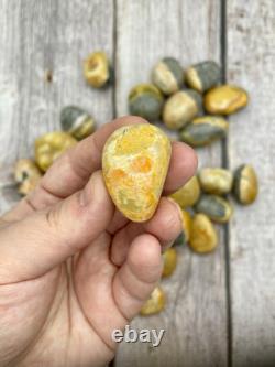 Yellow Bumblebee Jasper Tumbled Crystals Wholesale Lot Bulk Lot 2lbs Polished