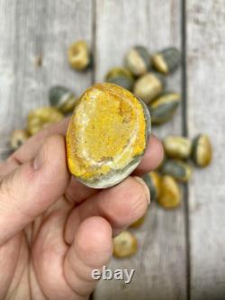 Yellow Bumblebee Jasper Tumbled Crystals Wholesale Lot Bulk Lot 2lbs Polished